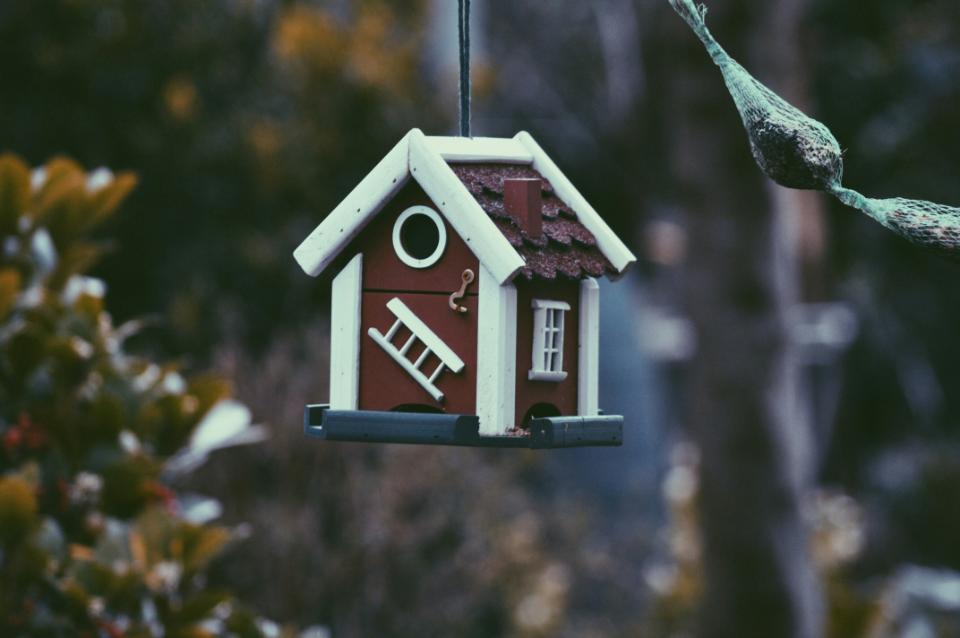 Vogelnest mit Leiteranhänger